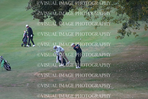 ILGF_25_T202007
