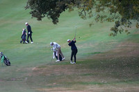 ILGF_25_T202008