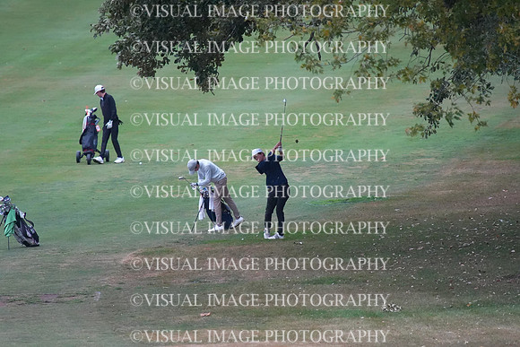 ILGF_25_T202008