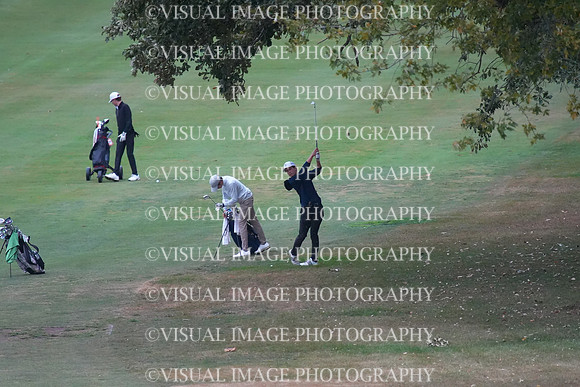 ILGF_25_T202009