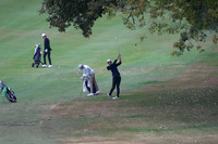 ILGF_25_T202010
