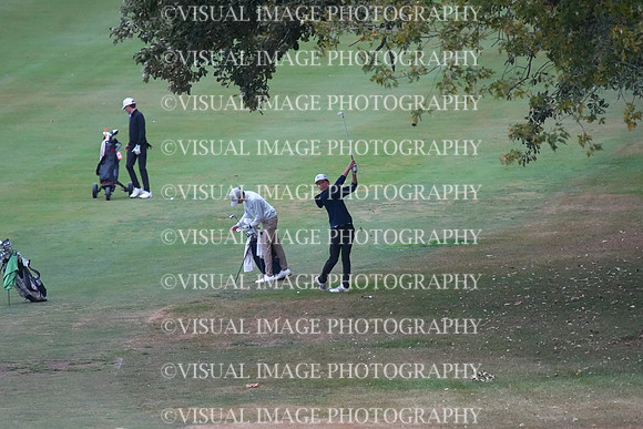 ILGF_25_T202011