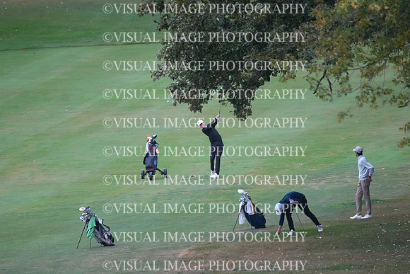 ILGF_25_T202017