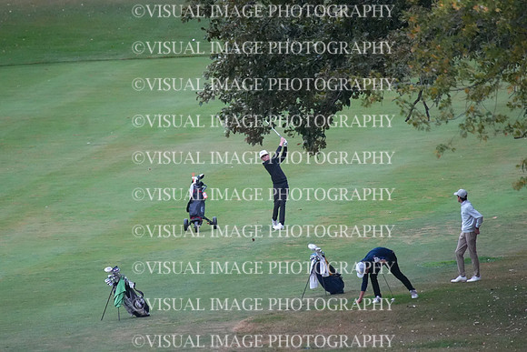 ILGF_25_T202019