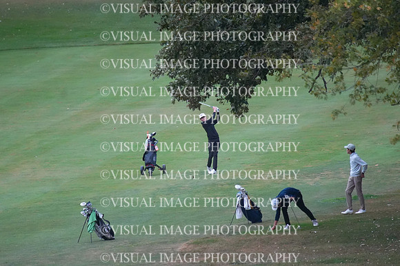 ILGF_25_T202020