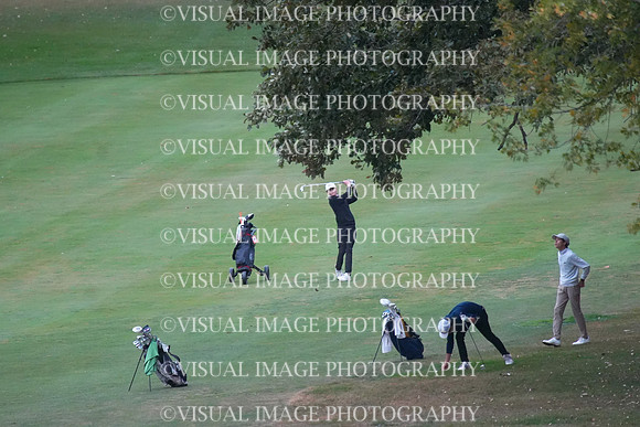 ILGF_25_T202022