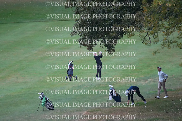 ILGF_25_T202023