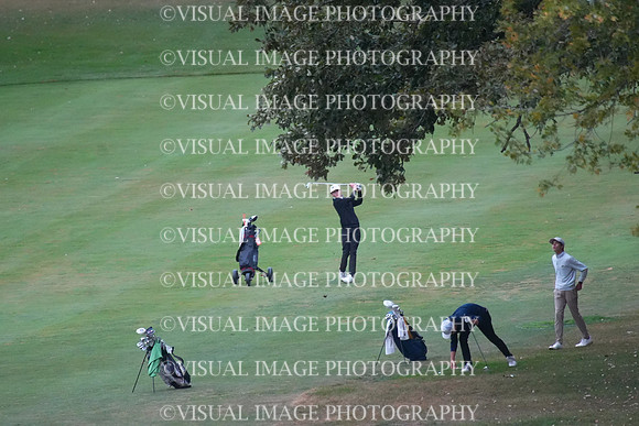 ILGF_25_T202024