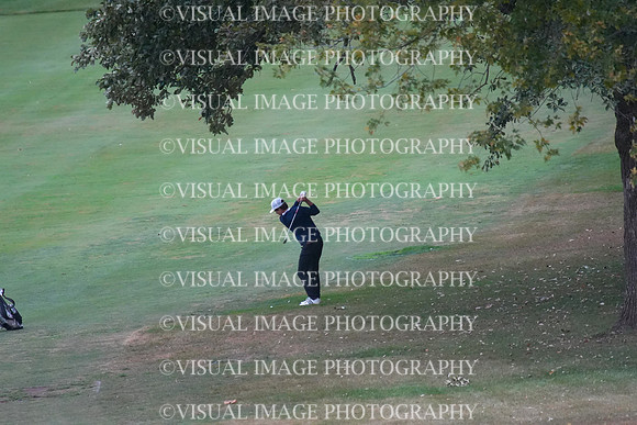 ILGF_25_T202032