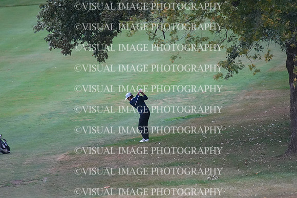 ILGF_25_T202033