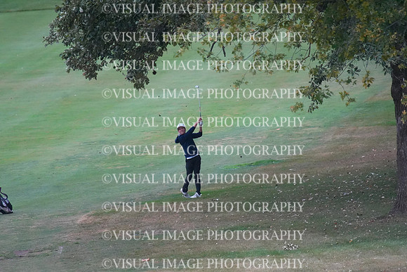 ILGF_25_T202042