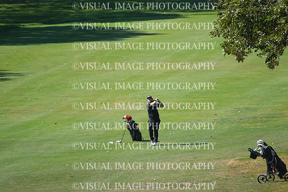 ILGF_25_T204013
