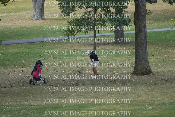 ILGF_25_T206003