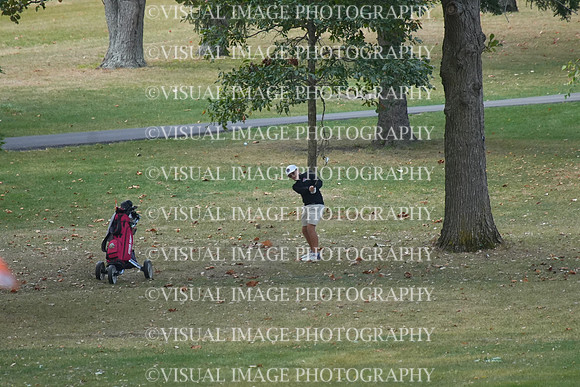 ILGF_25_T206005