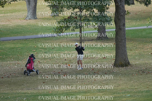 ILGF_25_T206010