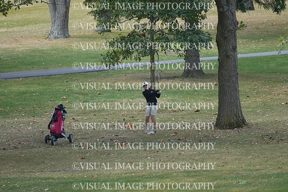 ILGF_25_T206012