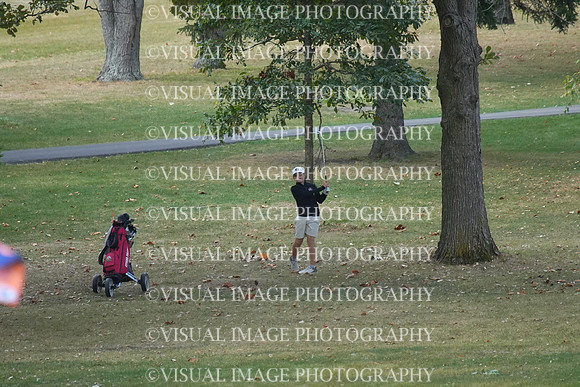 ILGF_25_T206015