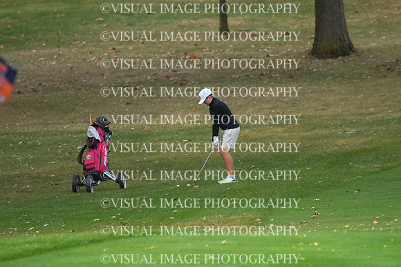 ILGF_25_T206029