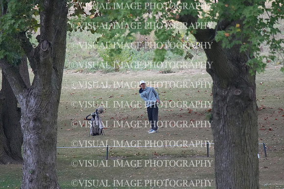 ILGF_25_T210071