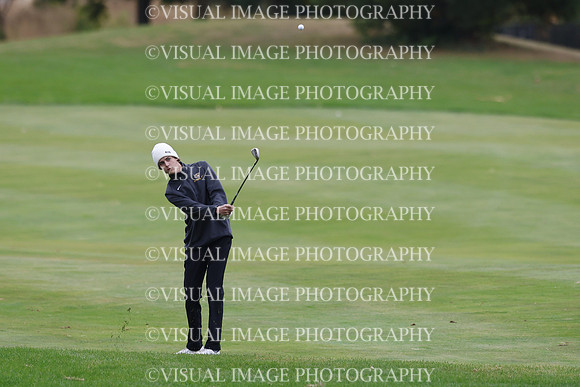ILGF_25_IND30023