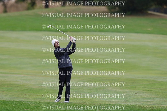 ILGF_25_IND30031