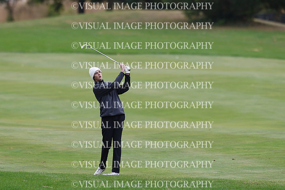 ILGF_25_IND30032