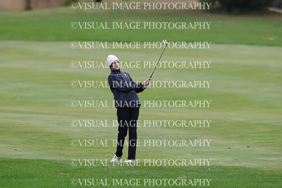 ILGF_25_IND30034