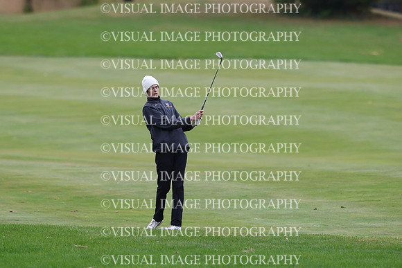 ILGF_25_IND30037