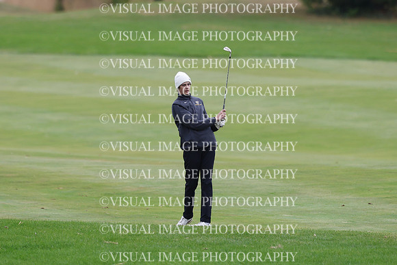 ILGF_25_IND30038