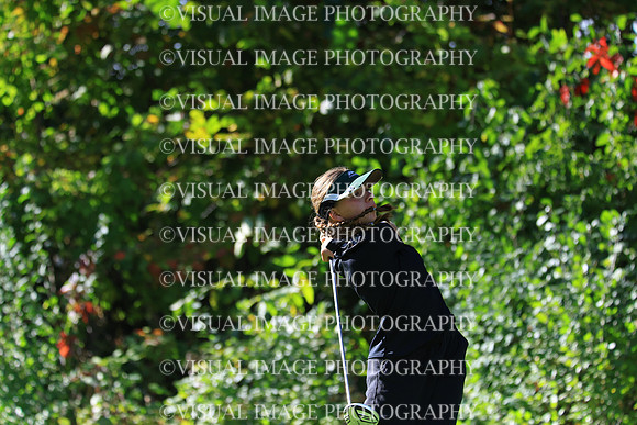 WIGFG_25_F20038