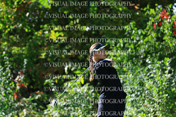 WIGFG_25_F20039