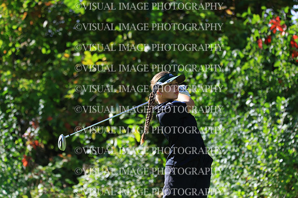 WIGFG_25_F20040