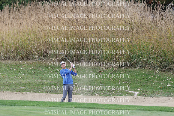 ILGF_25_T303019