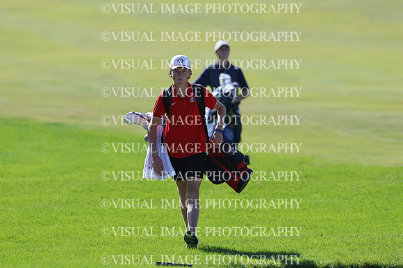 ILGF_25_T306005