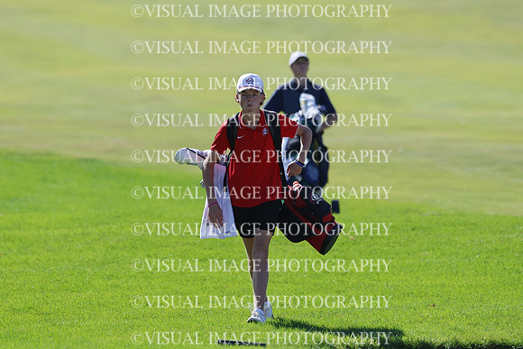 ILGF_25_T306006