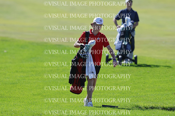 ILGF_25_T306008