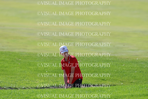 ILGF_25_T306011