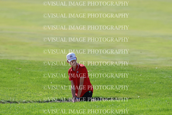 ILGF_25_T306012