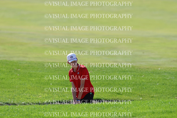 ILGF_25_T306013