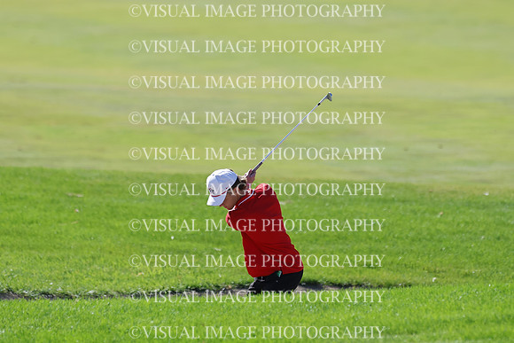 ILGF_25_T306017