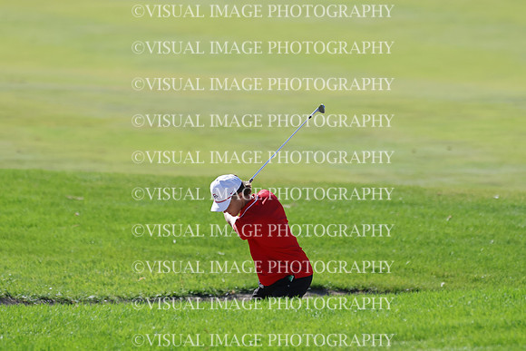 ILGF_25_T306018