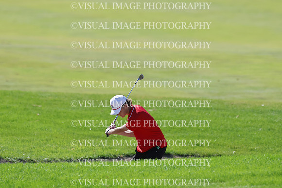 ILGF_25_T306019