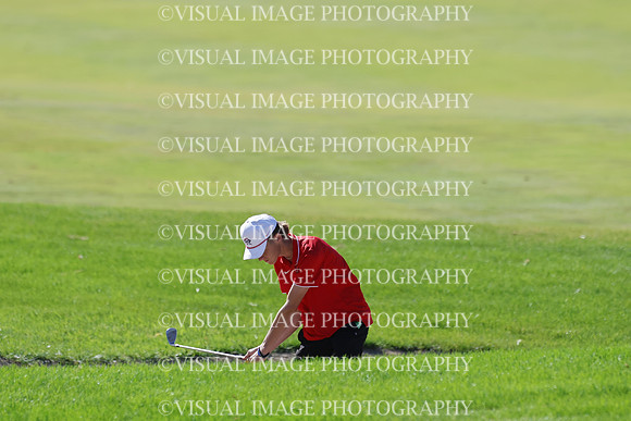 ILGF_25_T306020