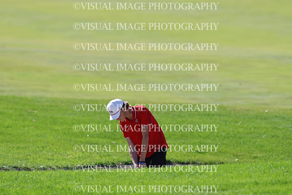 ILGF_25_T306021