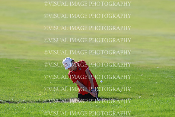 ILGF_25_T306022