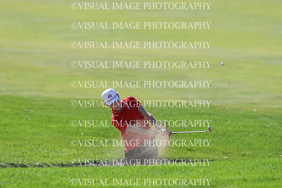 ILGF_25_T306023