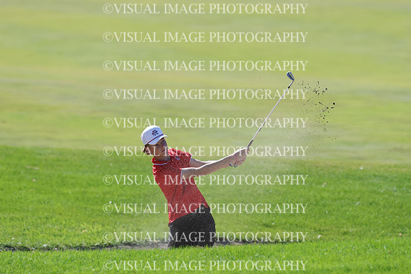 ILGF_25_T306025