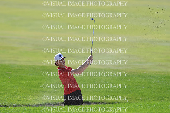ILGF_25_T306027