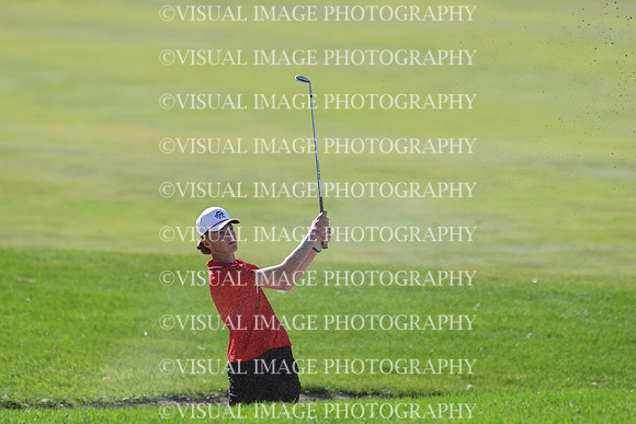 ILGF_25_T306028