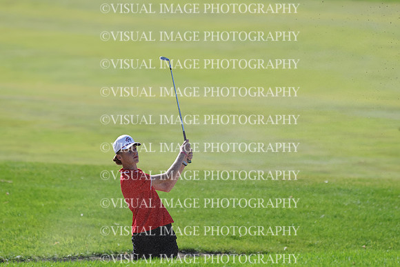 ILGF_25_T306029